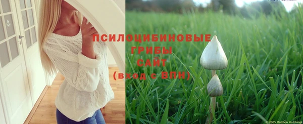 шишки Беломорск