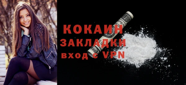 шишки Беломорск