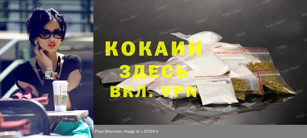 дживик Белокуриха