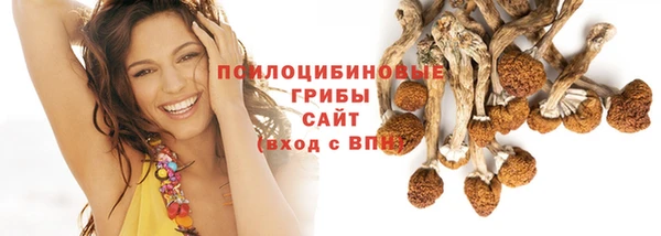 шишки Беломорск