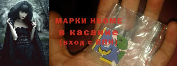 шишки Беломорск