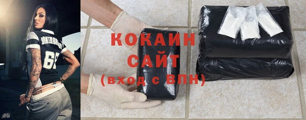 шишки Беломорск